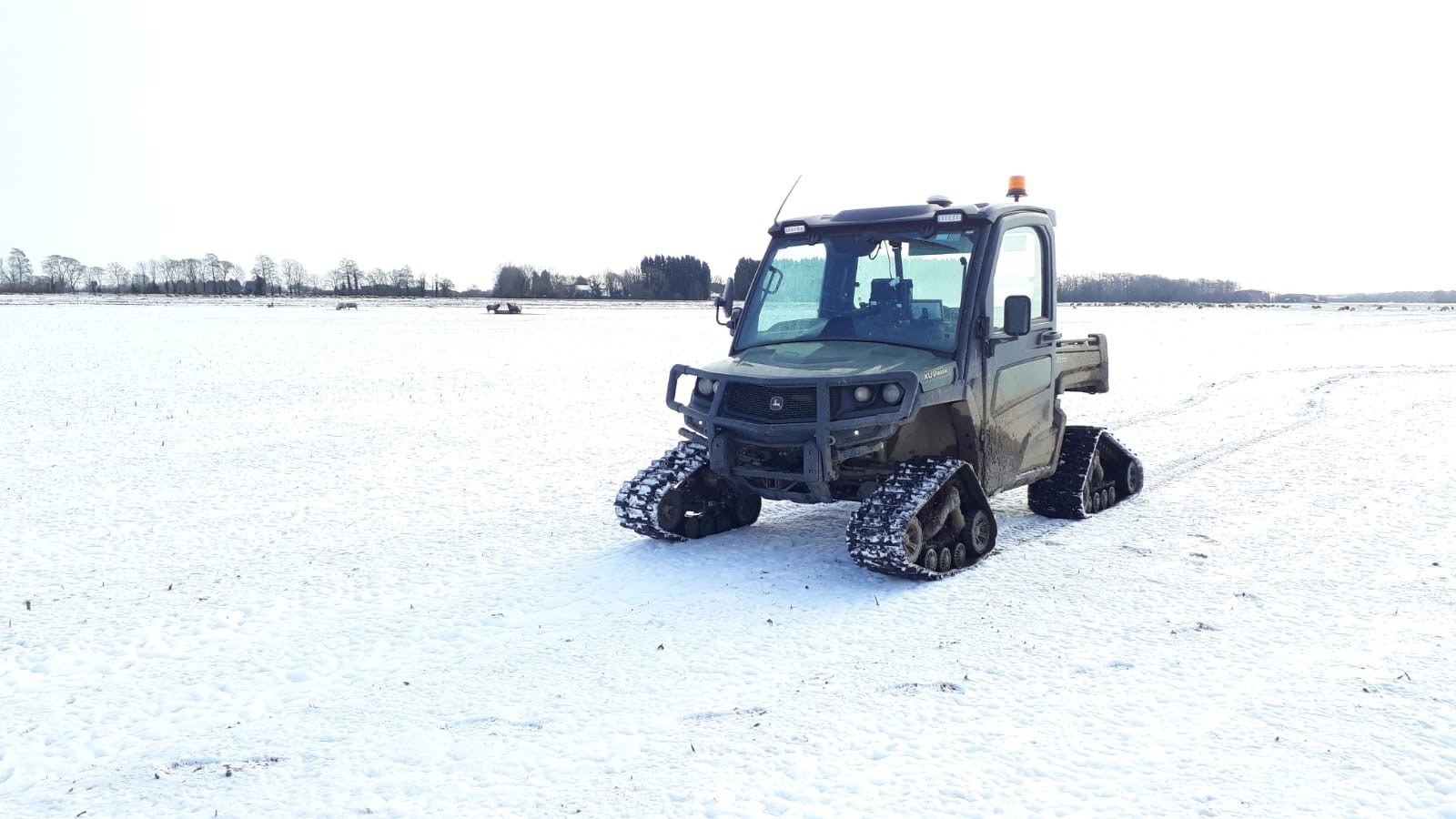 Gator Tracks Snow And Sheep