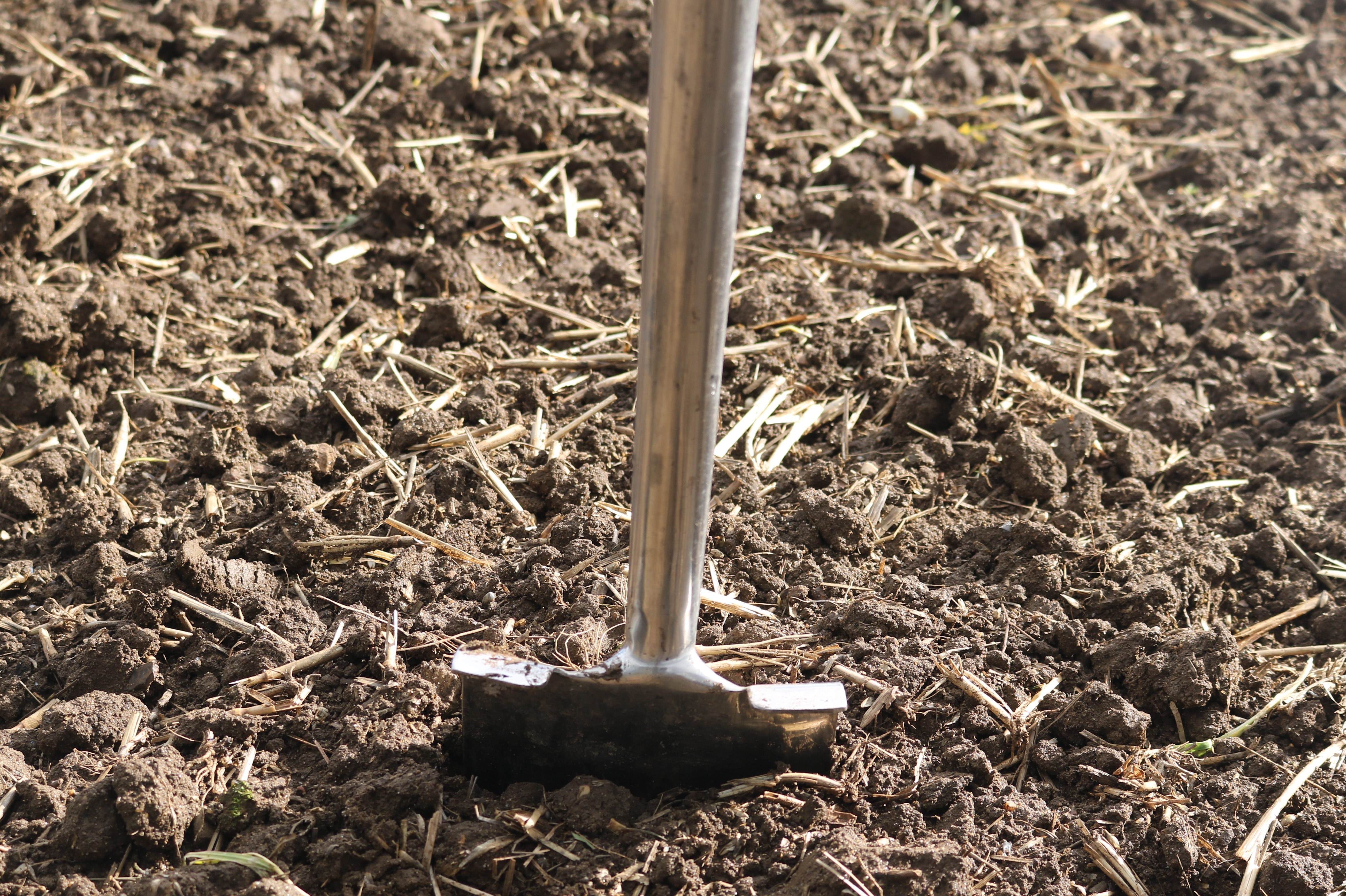 Spade In Soil