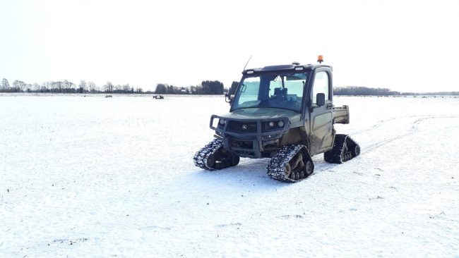 Gator Tracks Snow And Sheep