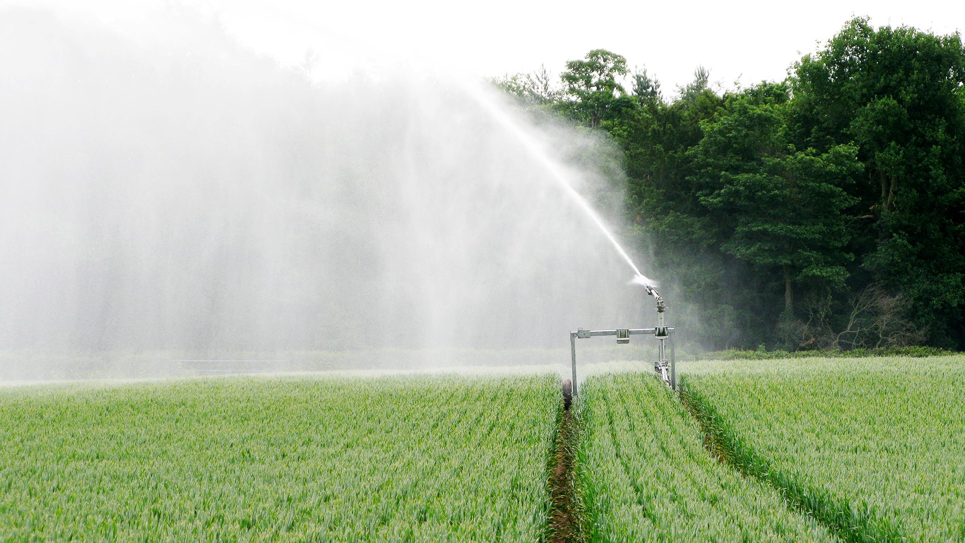 Agritech Precision Irrigation